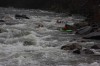 Thumbs/tn_Img_4098.jpg
