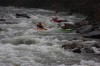Thumbs/tn_Img_4100.jpg