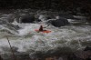 Thumbs/tn_Img_4131.jpg