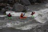 Thumbs/tn_Img_4137.jpg
