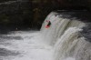 Thumbs/tn_Img_0332.jpg