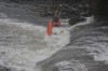Thumbs/tn_Img_0343.jpg