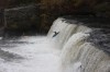 Thumbs/tn_Img_0353.jpg