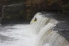 Thumbs/tn_Img_0499.jpg