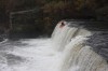 Thumbs/tn_Img_0518.jpg