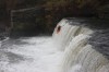 Thumbs/tn_Img_0519.jpg