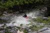 Thumbs/tn_Img_8185.jpg