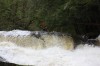 Thumbs/tn_Img_7411.jpg