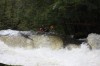 Thumbs/tn_Img_7413.jpg