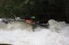 Thumbs/tn_Img_7447.jpg