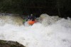 Thumbs/tn_Img_7449.jpg