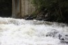 Thumbs/tn_Img_7488.jpg