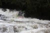 Thumbs/tn_Img_7492.jpg