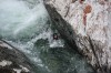 Thumbs/tn_Img_6238.jpg