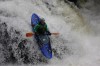 Thumbs/tn_Img_4695.jpg