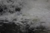 Thumbs/tn_Img_4696.jpg