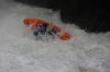 Thumbs/tn_Img_4716.jpg
