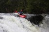 Thumbs/tn_Img_4731.jpg