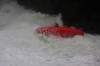 Thumbs/tn_Img_4737.jpg