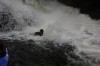 Thumbs/tn_Img_4748.jpg