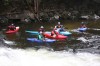 Thumbs/tn_Img_4767.jpg