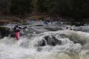 Thumbs/tn_Img_4889.jpg