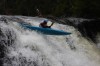 Thumbs/tn_Img_5336.jpg