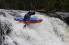 Thumbs/tn_Img_5372.jpg