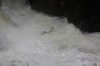 Thumbs/tn_Img_5387.jpg