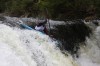 Thumbs/tn_Img_5398.jpg