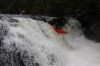 Thumbs/tn_Img_5407.jpg