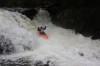 Thumbs/tn_Img_5418.jpg