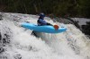 Thumbs/tn_Img_5461.jpg