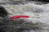 Thumbs/tn_Img_0884.jpg