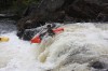 Thumbs/tn_Img_4771.jpg