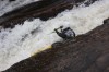 Thumbs/tn_Img_4970.jpg