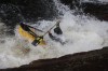 Thumbs/tn_Img_4993.jpg