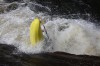 Thumbs/tn_Img_5025.jpg