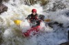 Thumbs/tn_Img_5102.jpg