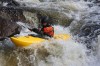 Thumbs/tn_Img_5120.jpg