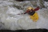 Thumbs/tn_Img_5152.jpg