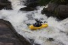Thumbs/tn_Img_5316.jpg