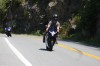 Thumbs/tn_Img_9956.jpg