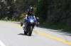 Thumbs/tn_Img_9960.jpg