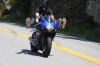 Thumbs/tn_Img_9962.jpg