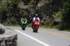 Thumbs/tn_Img_9973.jpg