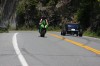 Thumbs/tn_Img_9979.jpg