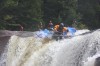 Thumbs/tn_Img_3063.jpg
