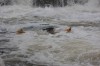 Thumbs/tn_Img_3189.jpg