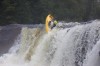 Thumbs/tn_Img_3248.jpg